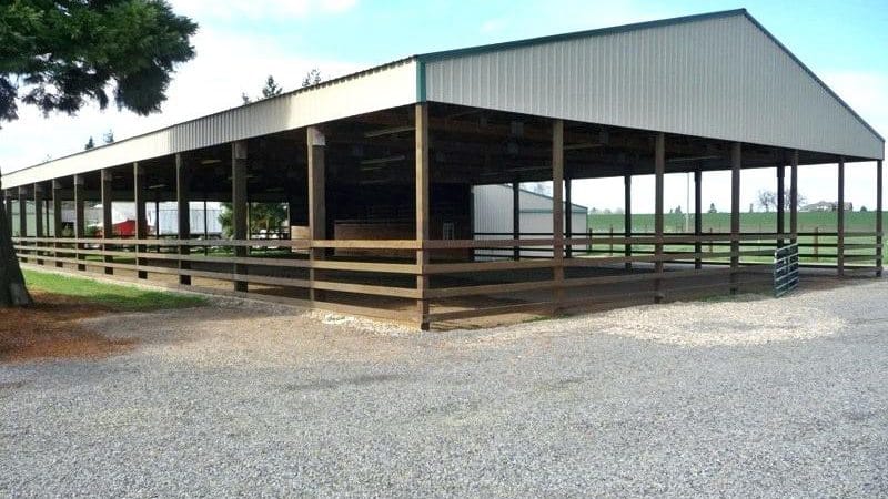 Steel Structure Horse shed – Luoyang Trond Steel Structure Engineering ...